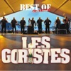 Les Goristes Les goristes 