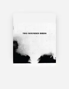 Listen to Two Wounded Birds, watch music videos, read bio, see tour dates & more!
