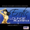 Erotic Lounge Experience Vol. 3