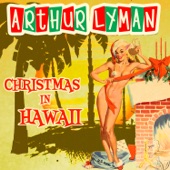 Christmas in Hawaii artwork