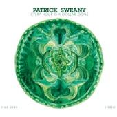 Patrick Sweany - Them Shoes