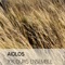 Aiolos - Xylouris Ensemble lyrics