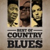 Best of Country Blues, 2013