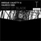Paint It Black - Enrique Calvetty & Maurice Deek lyrics