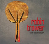 Robin Trower - I Believe to My Soul