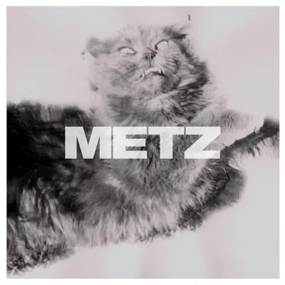Dirty Shirt - Single - METZ