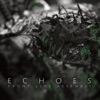 Echoes, 2014