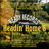Headin' Home 8 - Various Artists