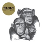 Lauren - The Crash