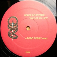 Way of My Life (REMASTERED) Plus Bonus Mix - Single - Todd Terry & House of Gypsies