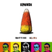 Sponge - Molly (16 Candles)