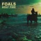 Out of the Woods (Kulkid Remix) - Foals lyrics