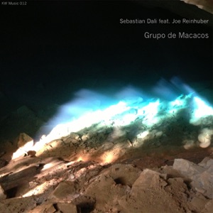 Grupo de Macacos (feat. Joe Reinhuber) - Single