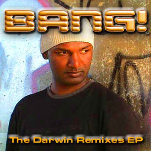 The Darwin Remixes EP