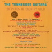 20 Pieces of Country Gold - 20 Hits artwork