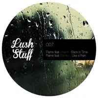 Back In Time (feat. Shamil) — Flame