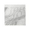 Thought Broadcast - 07/13/2013
