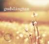 Gudslängtan - sånger om livet med Gud