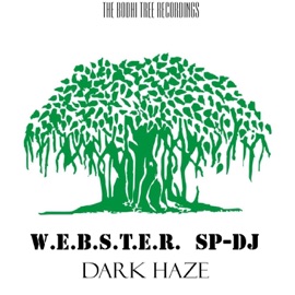 My Game Webster & Sp-Dj