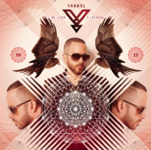 Moviendo Caderas (feat. Daddy Yankee) - Yandel Cover Art