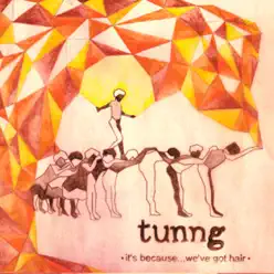 It's Because We've Got Hair - Single - Tunng It's Because We've Got Hair - Single - Tunng