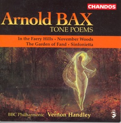 BBC Philharmonic Orchestra - Sinfonietta: III. Allegro
