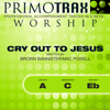 Cry Out To Jesus (Low Key: A - Performance Backing Track) - Primotrax Worship