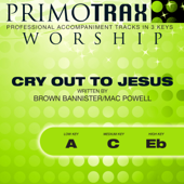 Cover art for Cry Out To Jesus (Low Key: A - Performance Backing Track) by Primotrax Worship