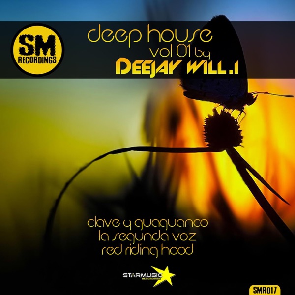 Deep House, Vol. 01 By Deejay Will.i - Single