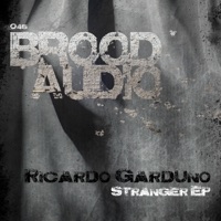 The Stranger - Ricardo Garduno