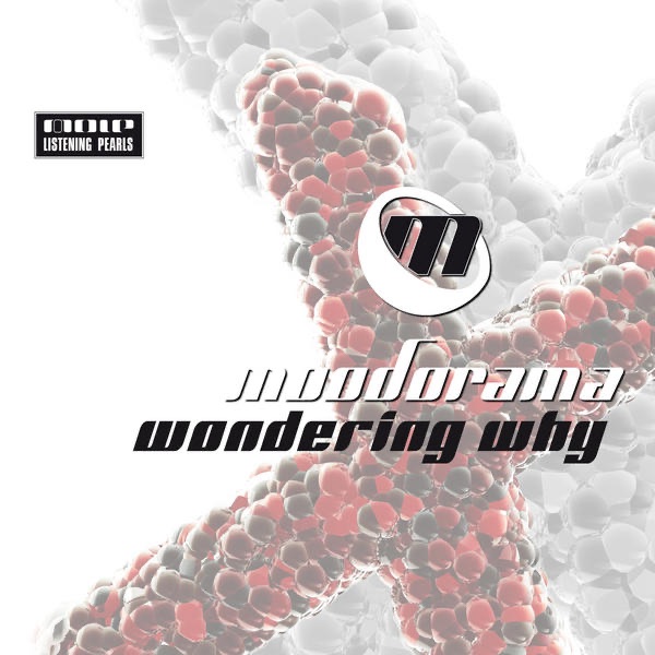 Wondering Why - Single