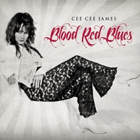 Cee Cee James - 100 Ways to Make Love