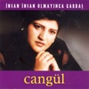 İnsan İnsan Olmayınca / Gardaş