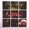Ray Stevens Christmas Through a Different Window, 2004