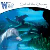 Wychazel - Islands in a Sea of Dreams