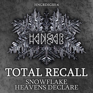 Snowflake / Heavens Declare - Single