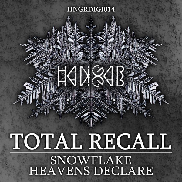 Snowflake / Heavens Declare - Single