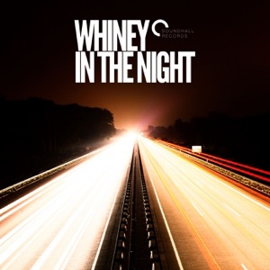 In the Night - EP
