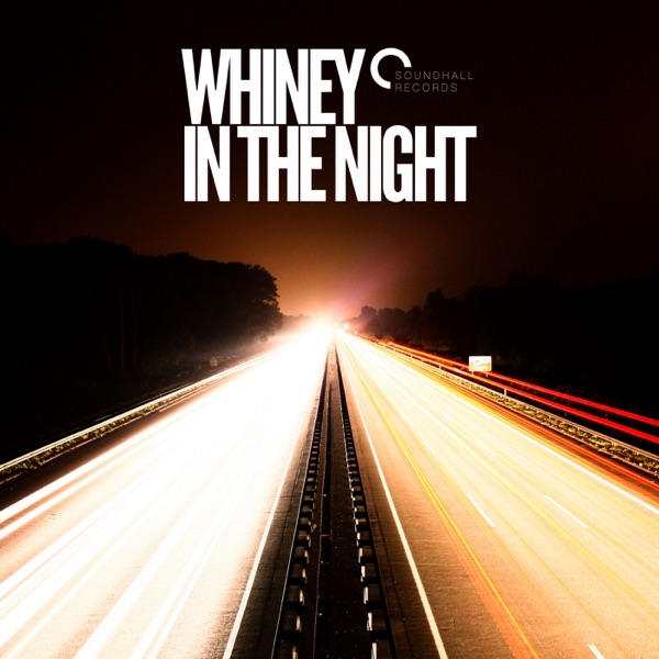 In the Night - EP