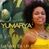 Yumarya - La Vida Es un Carnaval