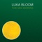 Gaman - Luka Bloom lyrics