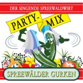 Spreewälder Gurken - Radio Party-Mix artwork