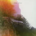 A Process (Flutramental)