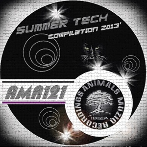 Summer Compilation Tech 2013