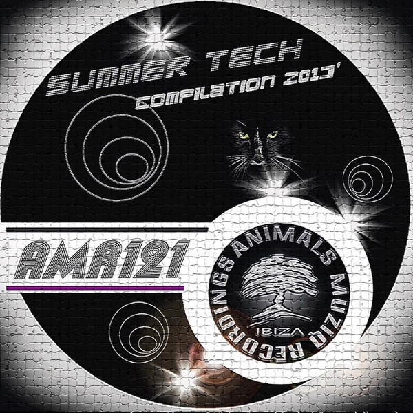 Summer Compilation Tech 2013