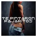 Te Pintaron Pajaritos