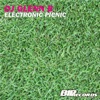 Electronic Picnic (Extended Mix) - Single