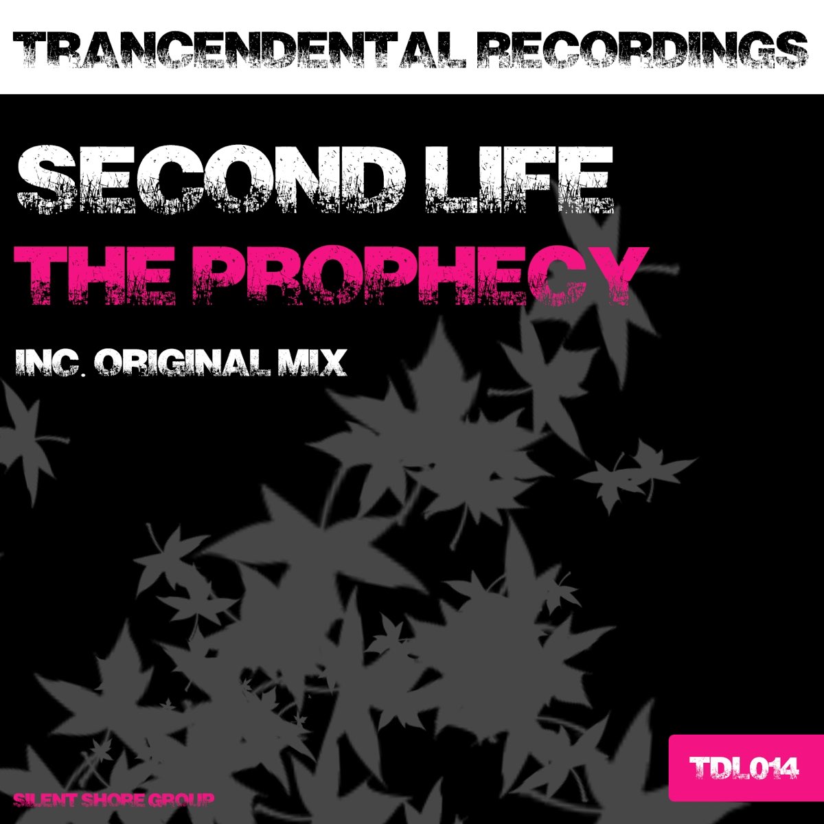 Seconds mixed. Rêvasser - Prophecy Original Mix.