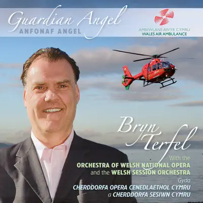 Guardian Angel - EP - Bryn Terfel