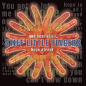 Stiff Little Fingers - Roots Radicals Rockers and Reggae